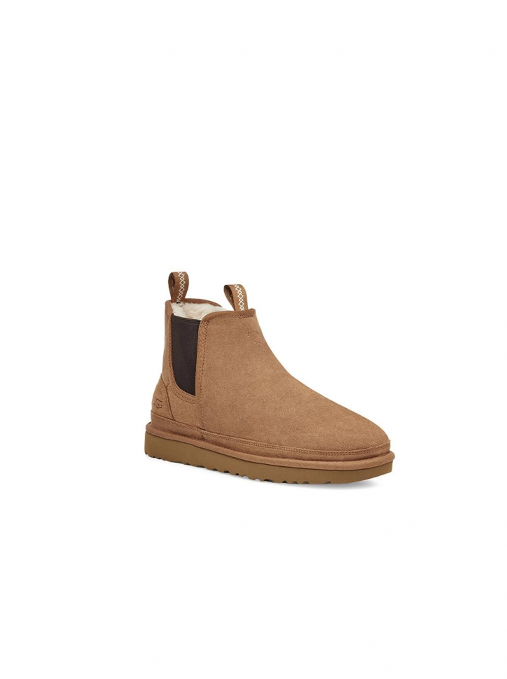 Ботинки Men's Chelsea Chestnut