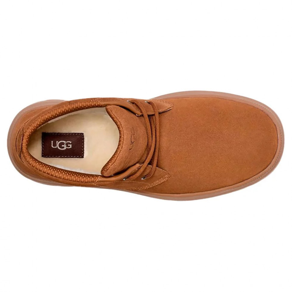UGG Mens Burleigh Chukka - Chestnut