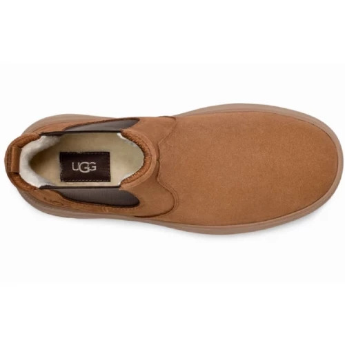 UGG Men Burleigh Chelsea - Chestnut