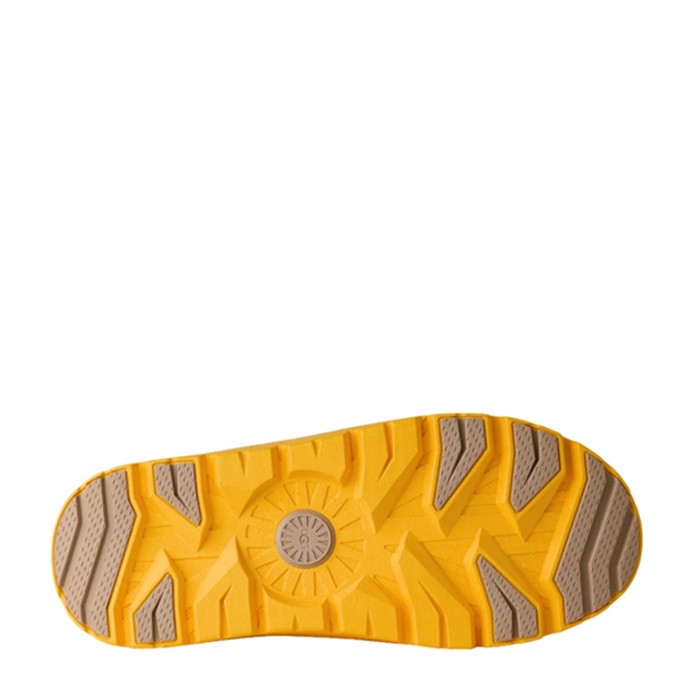 Ugg Tasman Hybrid Mustard Seed / Summer Wheat