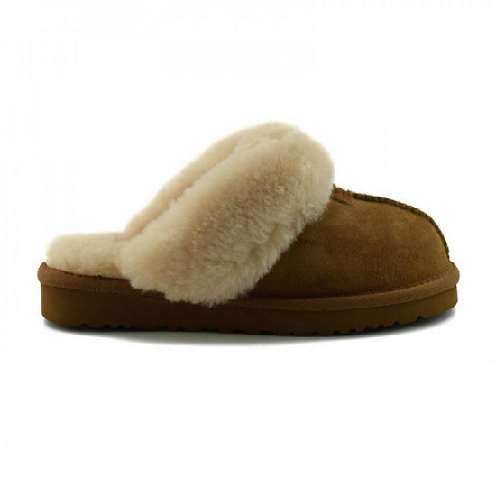 Мужские тапочки Coquette Slippers Chestnut