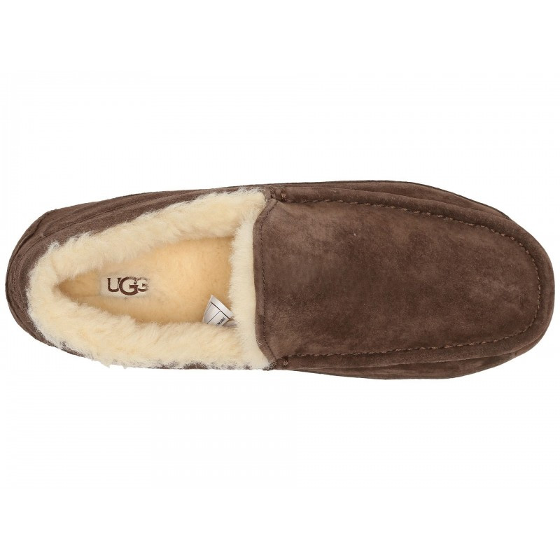 Мокасины Men's Ascot Chocolate