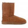 Угги Classic Short II Chestnut
